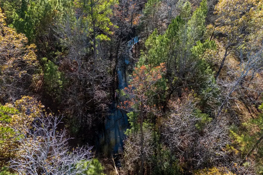 00 County Road 1135, Kennard Ratcliff, TX 75835 - Image #3