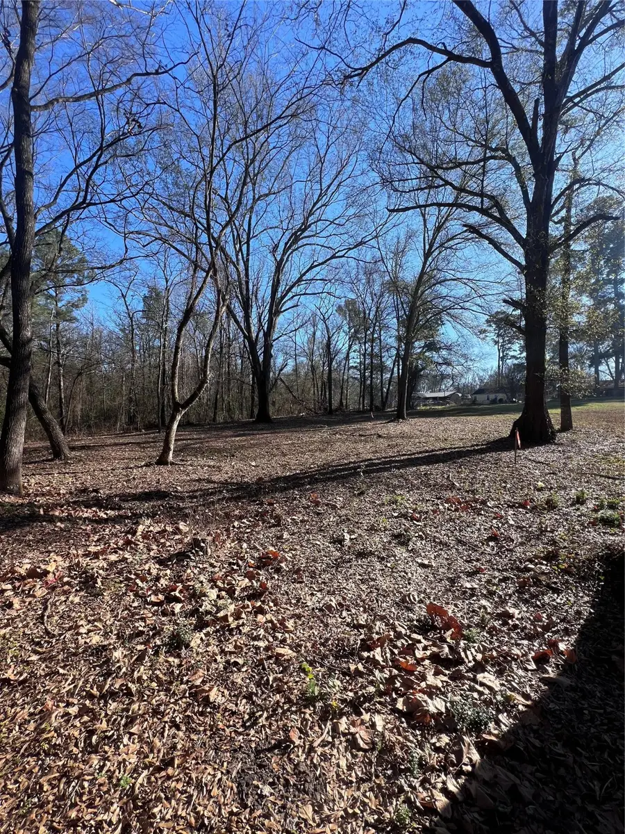 TBD Quail Run, Mount Pleasant, TX 75455 - #3