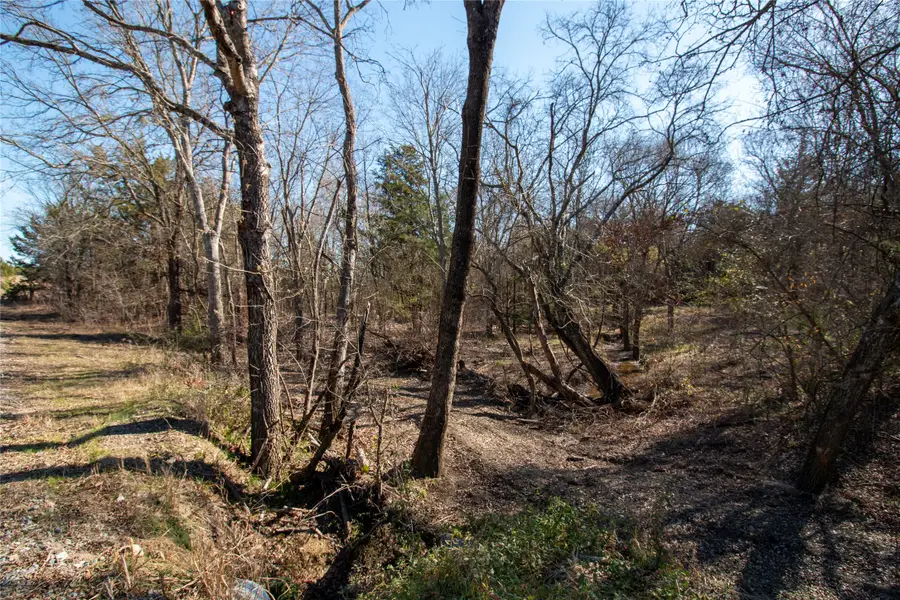 Lot 7 County Road 2905, Dodd City, TX 75438 - Image #2