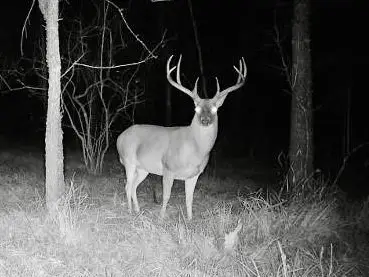 000 Tx-19, Emory, TX 75117