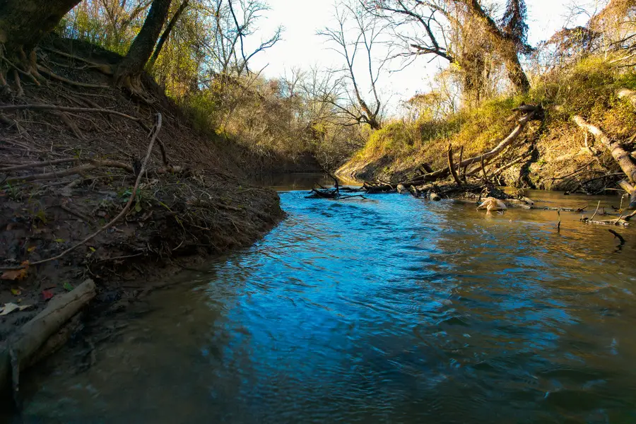 000 Tx-19, Emory, TX 75117 - #3