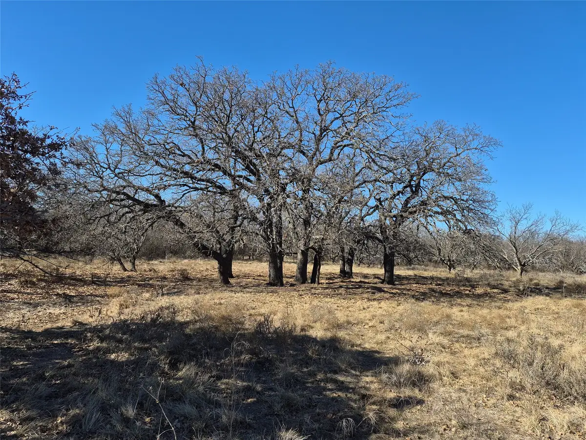 1168 Shepard Lane, Loving, TX 76460 - Image #1