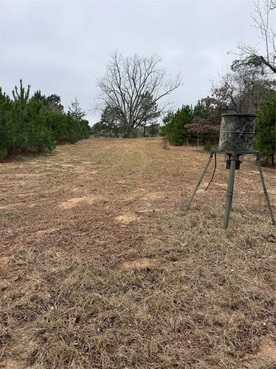 TBD Cr 335, Tyler, TX 75708 - Image #2