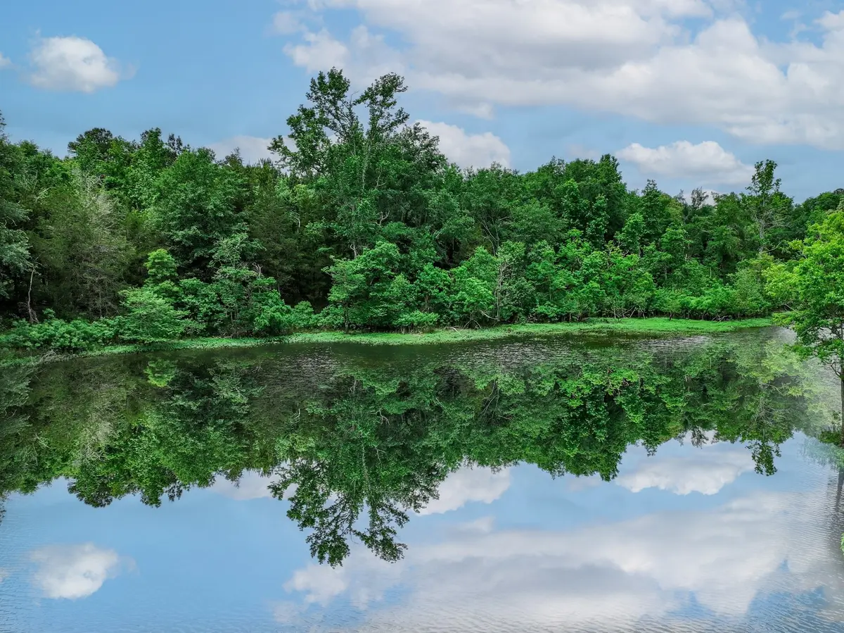 3732 Us Highway 84, Palestine, TX 75801 - Image #1