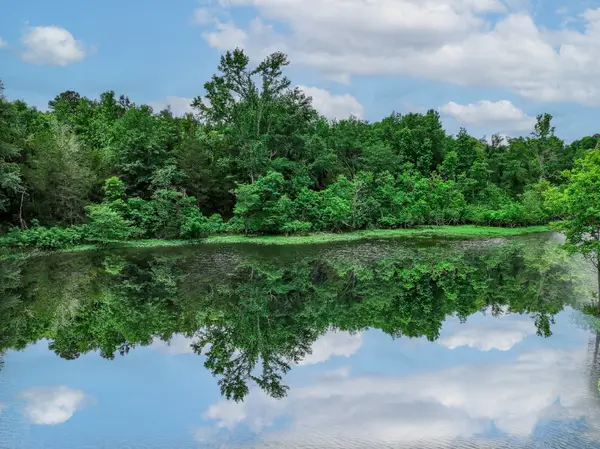 3732 Us Highway 84, Palestine, TX 75801