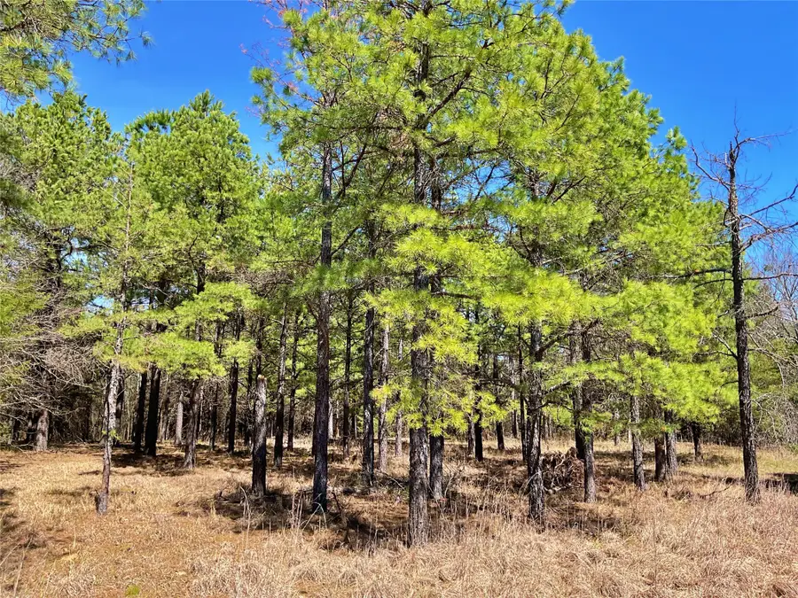 7275 Leavenworth Trail, Mead, OK 73449 - Image #3