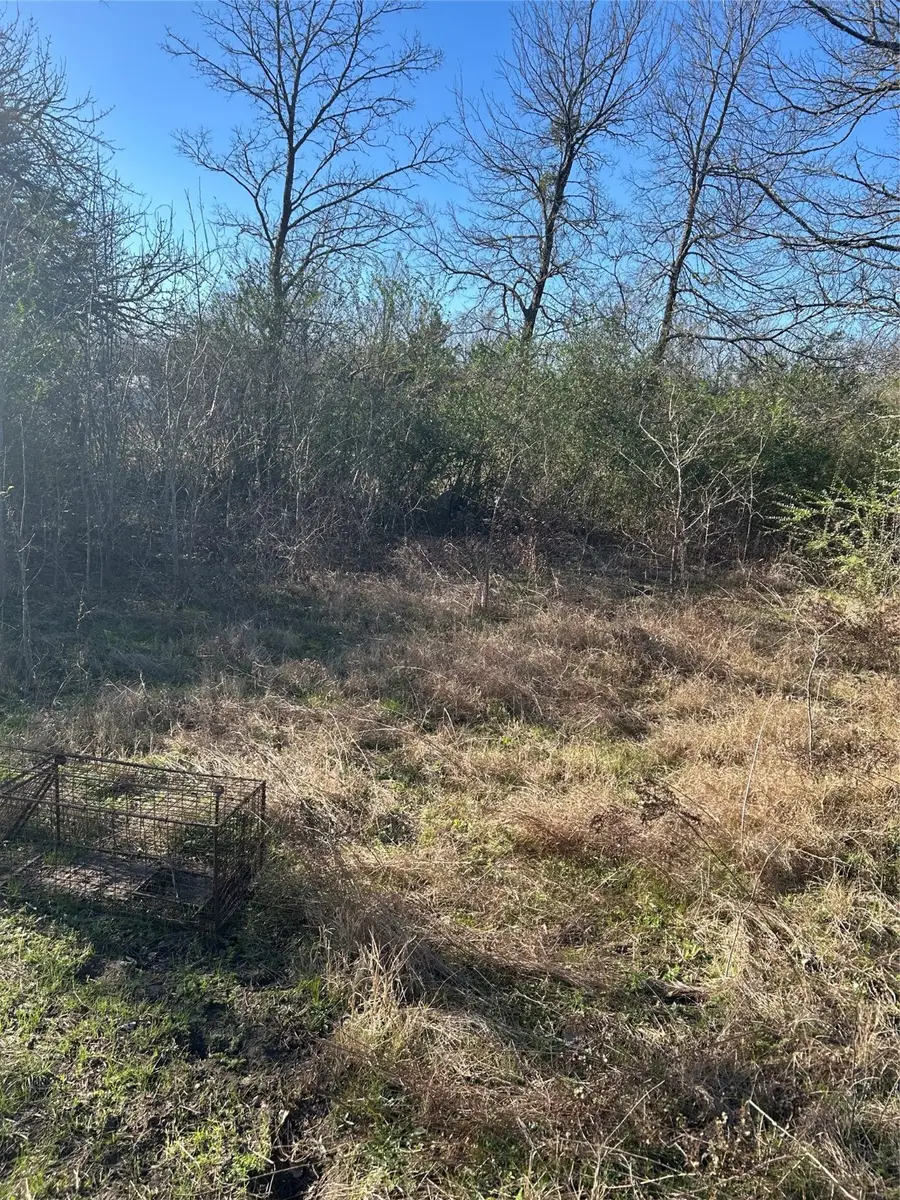 TBD Eastman, Ladonia, TX 75449 - Image #3