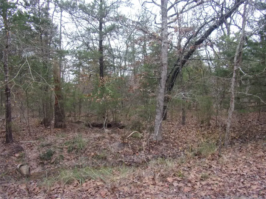 000 Hideaway, Murchison, TX 75778 - #2