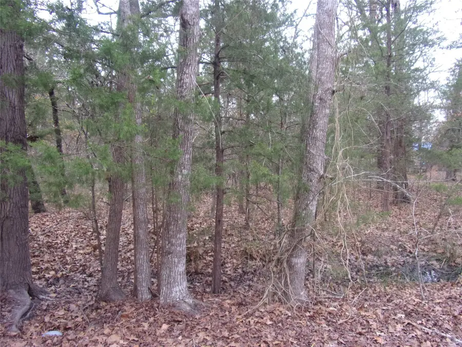 000 Hideaway, Murchison, TX 75778 - #3