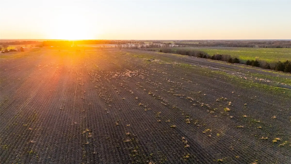 TBD Fm 128, Ben Franklin, TX 75415 - Image #1