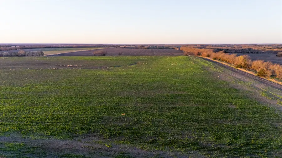 TBD Fm 128, Ben Franklin, TX 75415 - Image #2