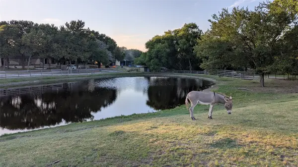 5440 Business 78 S, Nevada, TX 75173