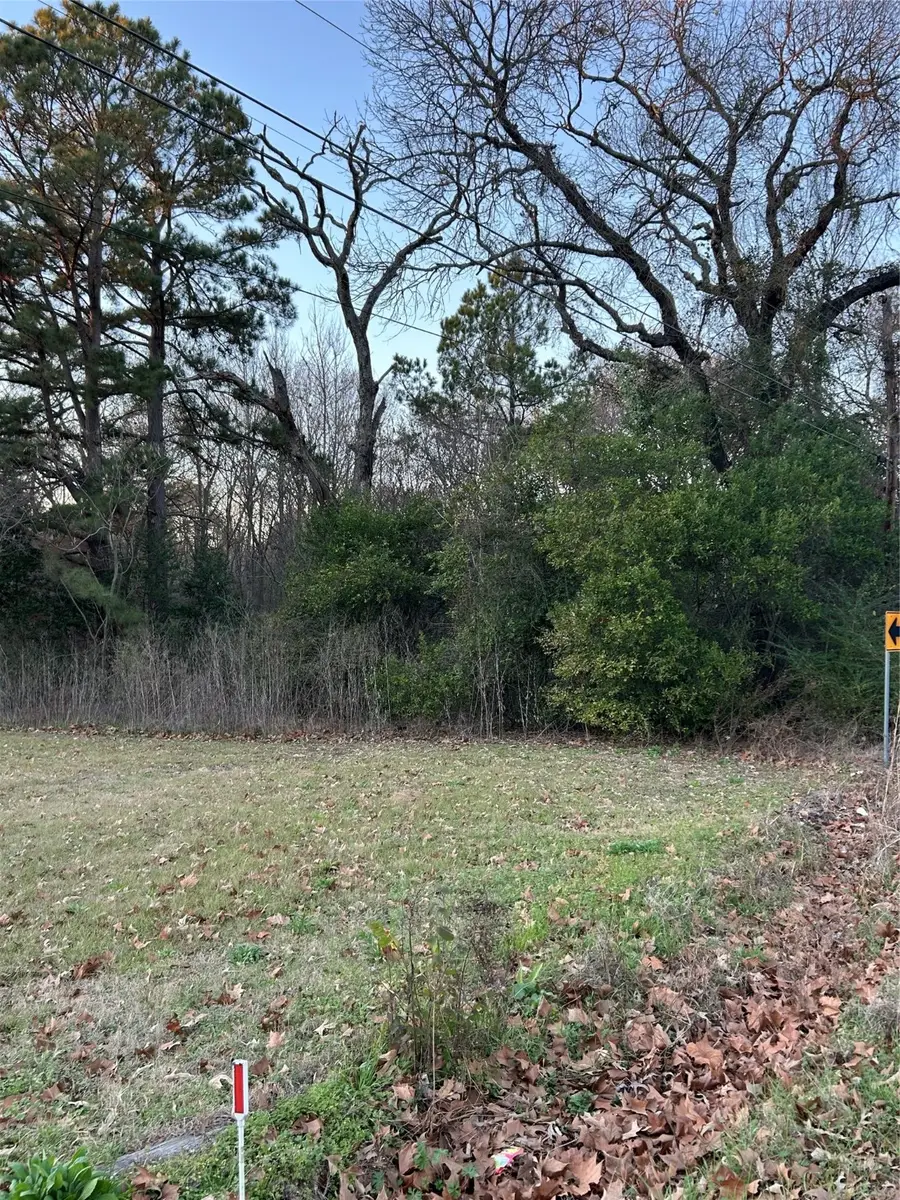 1203 N Hamlett Street, Athens, TX 75751 - Image #2