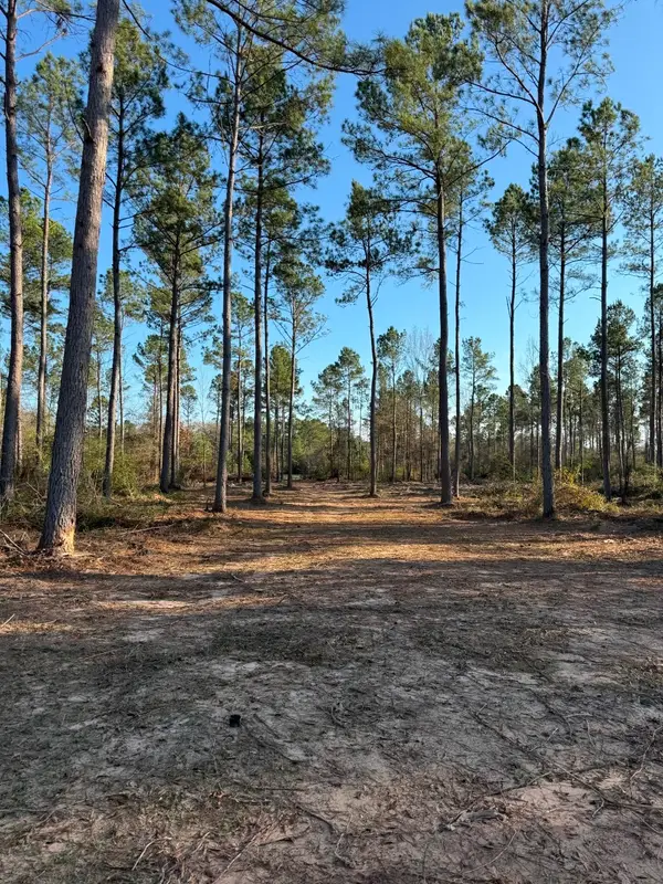 TBD-B County Road 216, Beckville, TX 75631