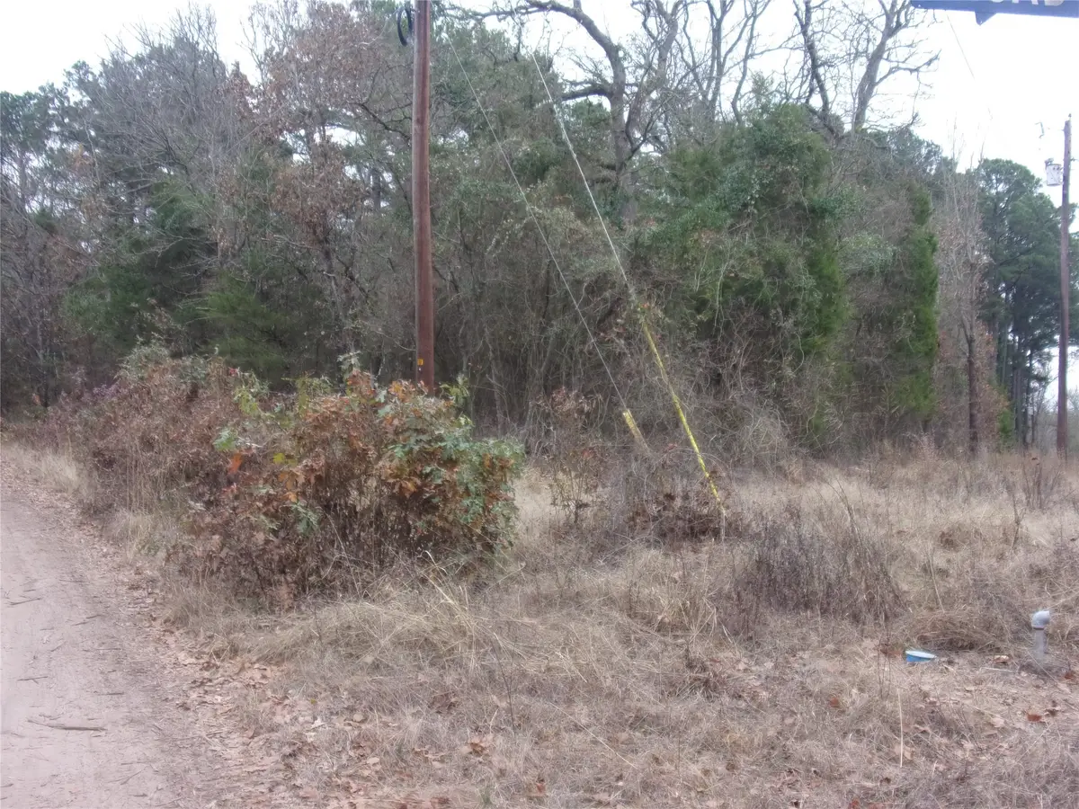 000 Briar Valley, Murchison, TX 75778 - Image #1