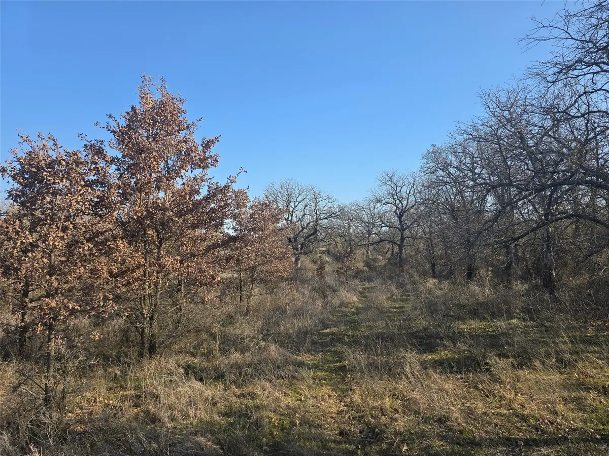 1017 Vh Ranch Road, Poolville, TX 76487 - Image #1