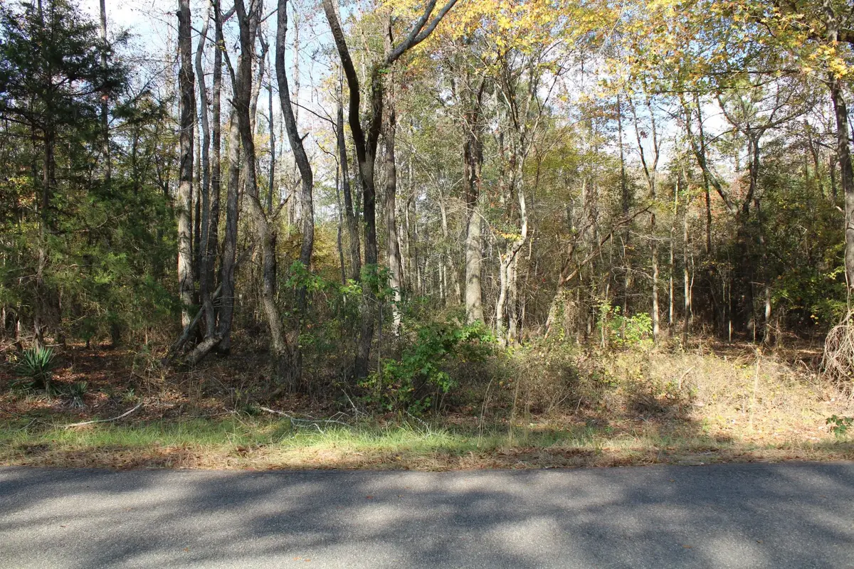 0 Harris Road, Homer, LA 71040 - Image #1