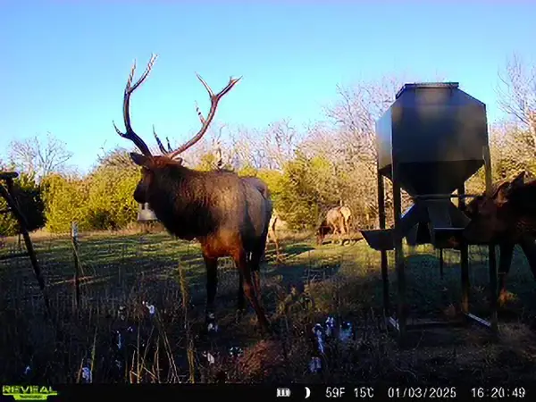 000 N3840 Road, McAlester, OK 74538