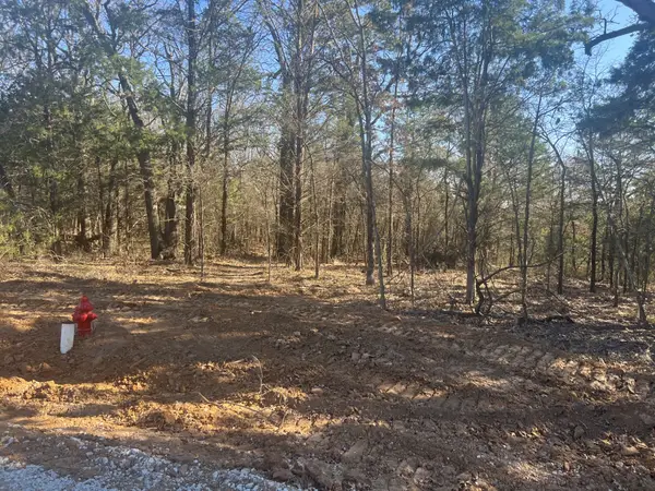 LOT 35 Reflection Bay Boulevard, Gordonville, TX 76245