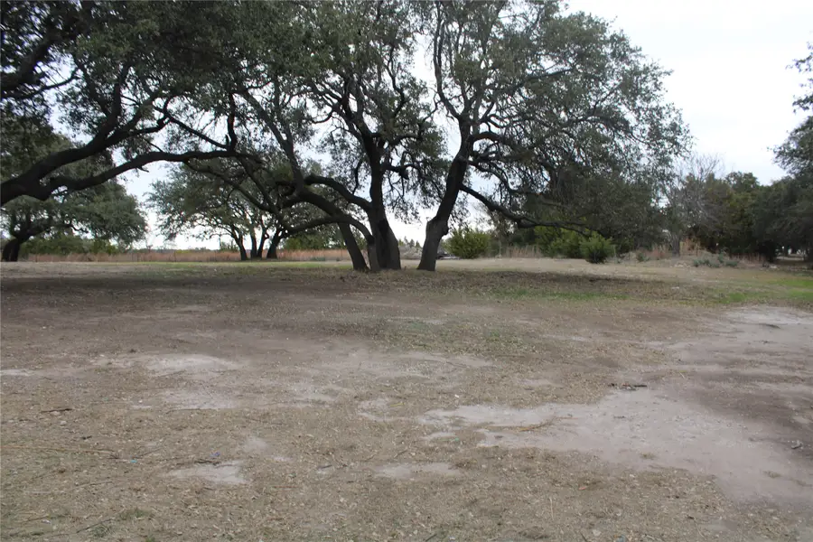 251 Whispering Oaks Ln, Early, TX 76802 - #3