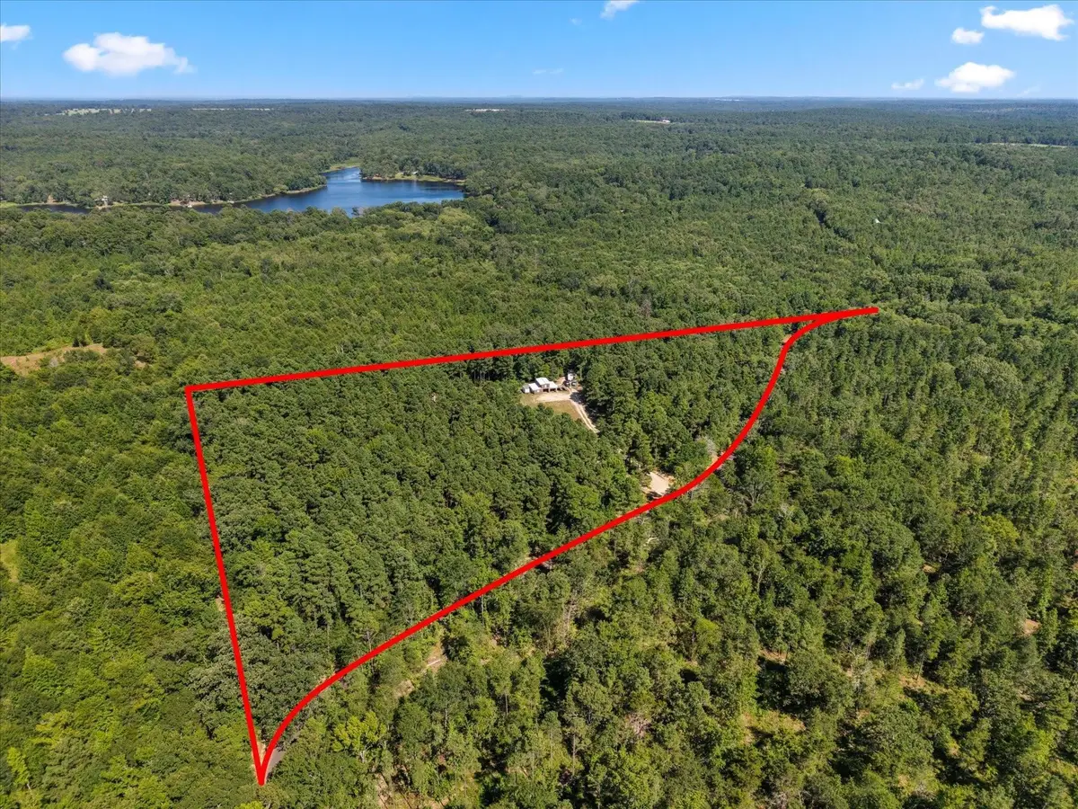 4012 County Road 3990, Winnsboro, TX 75494 - #1