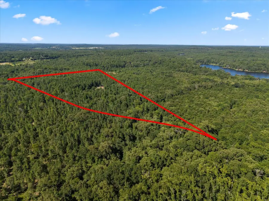 4012 County Road 3990, Winnsboro, TX 75494 - #3