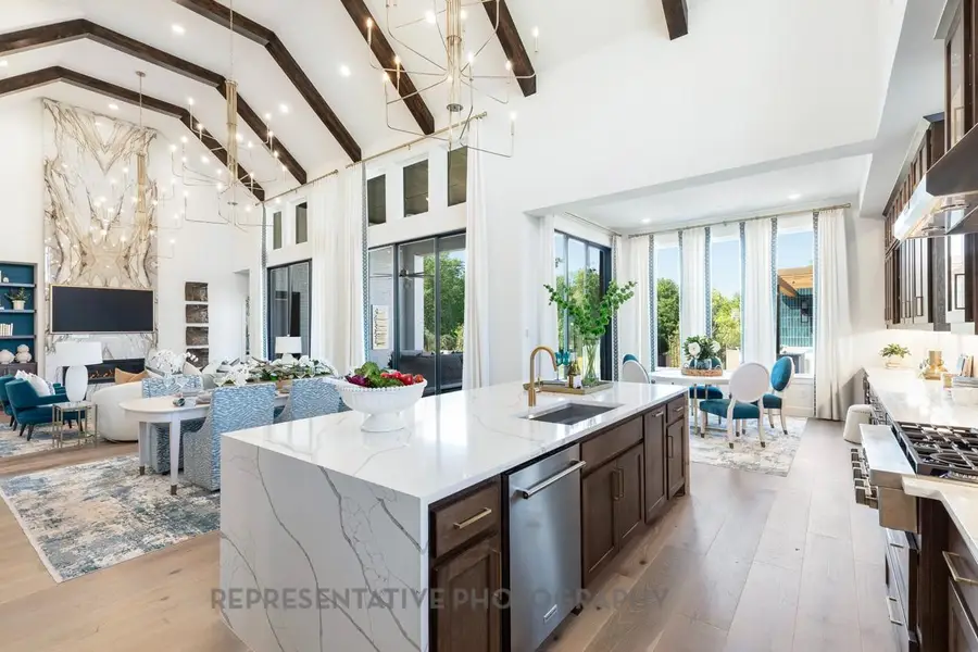 2504 Grand Teton Lane, Celina, TX 75009 - Image #3