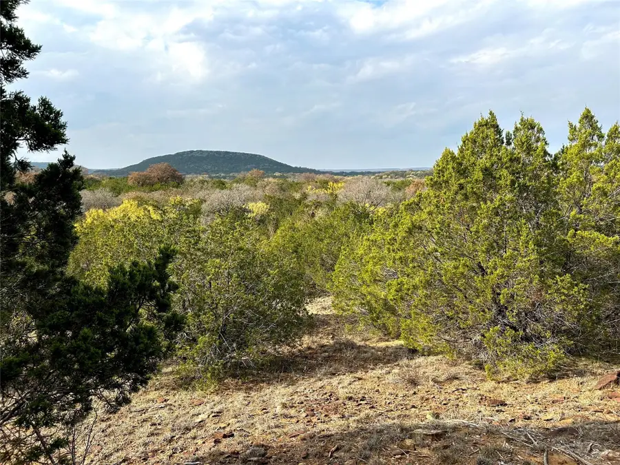 TBD County Road 471, Ranger, TX 76470 - Image #2