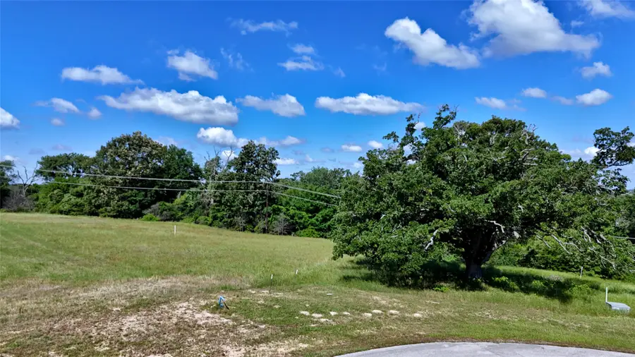 Lot 262 High Point Court, Athens, TX 75752 - #3