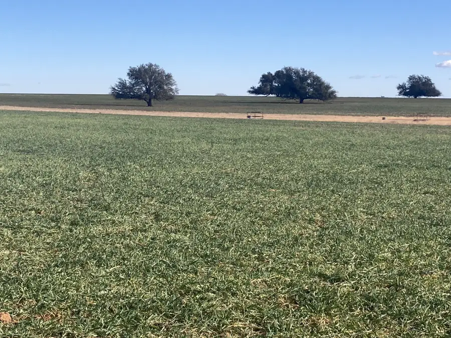 0000 Stephens Lane Lane, Newcastle, TX 76372 - #3