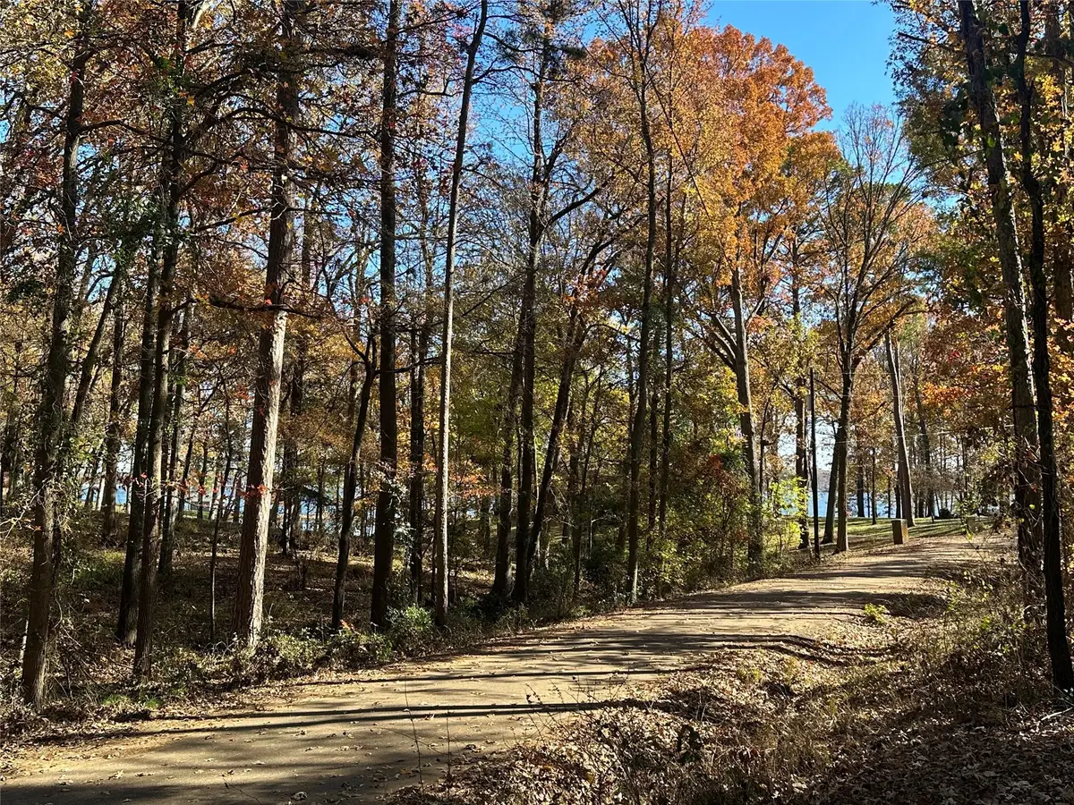 N/A Lot 58 County Road 2938, Mount Pleasant, TX 75455 - Image #1