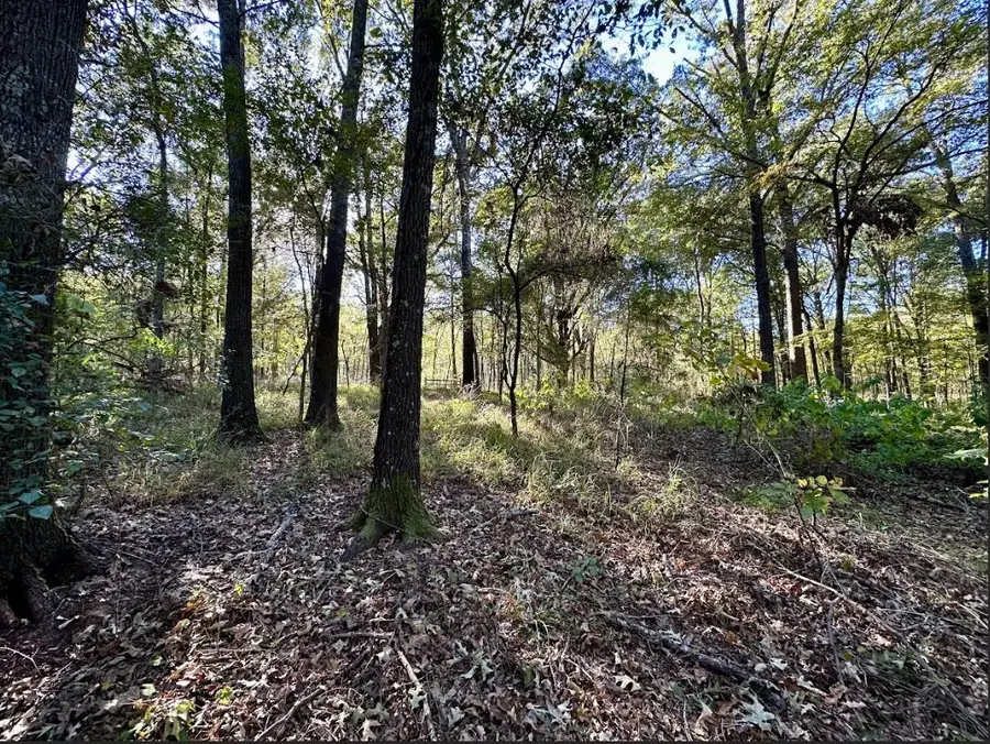 N/A Lot 58 County Road 2938, Mount Pleasant, TX 75455 - Image #3