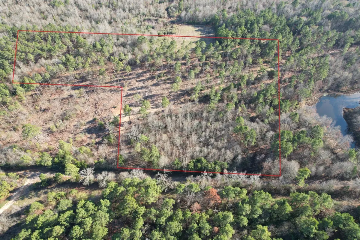 TBD-D County Road 216, Beckville, TX 75631 - #1