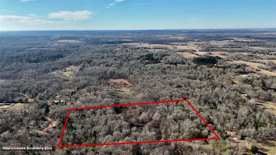 TBD County Road 3801, Athens, TX 75752 - #2