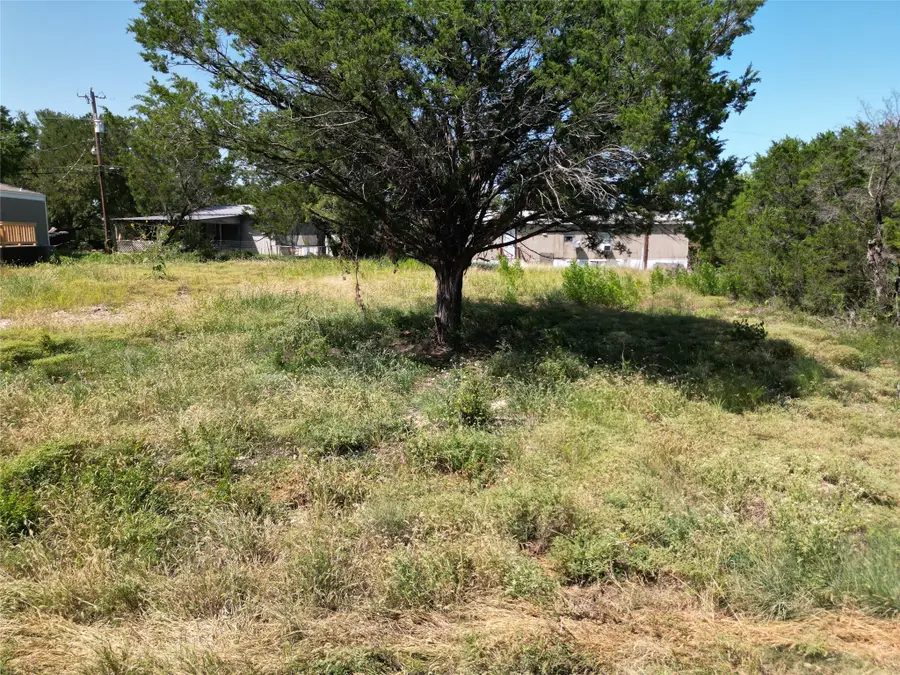 4212 W Virginia Drive, Granbury, TX 76048 - #3