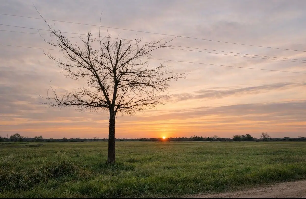 TBD County Road 14420, Pattonville, TX 75468 - Image #1