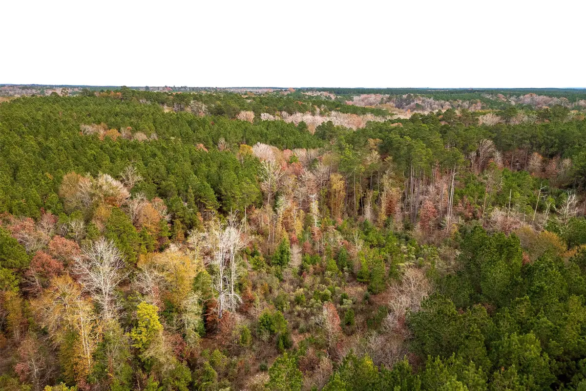 00 County Road 1247, Center, TX 75935 - #1