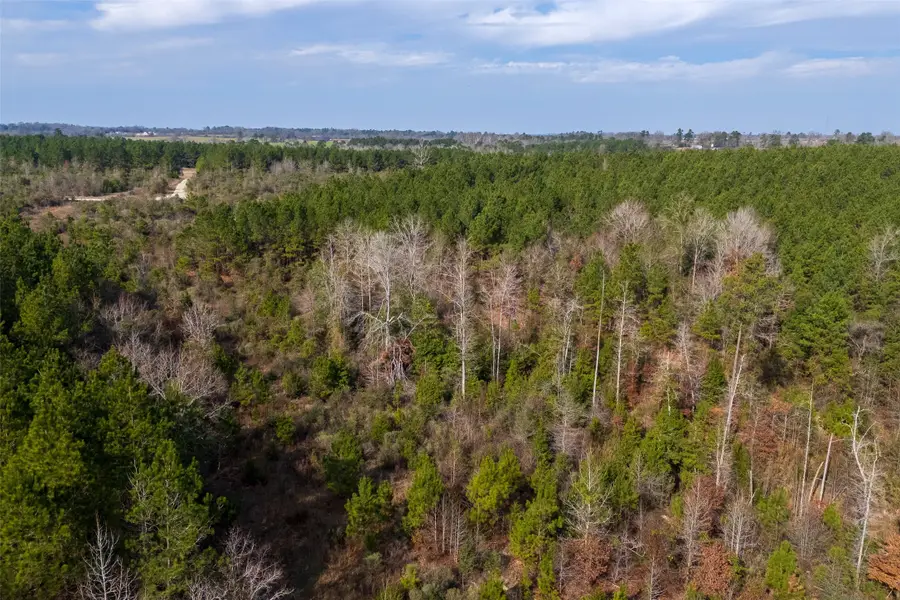 00 County Road 1247, Center, TX 75935 - #3