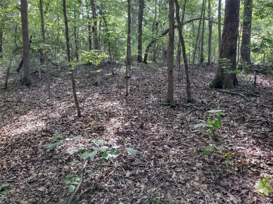 TBD Willow Point Marina Road, Lake O The Pines, TX 75668 - #3