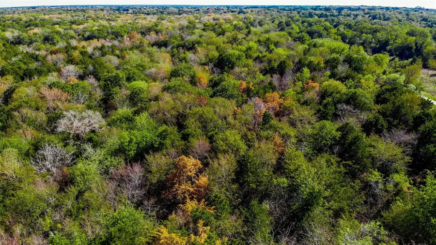 Lot 12 Se County Road 2370, Streetman, TX 75859 - #3