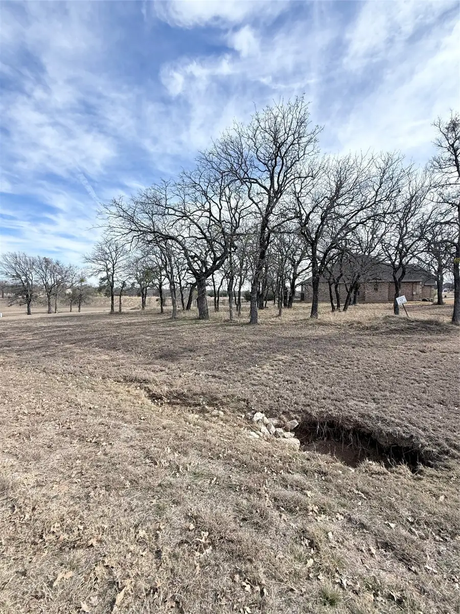 Lot 17 Lakeside Drive, Lipan, TX 76462 - Image #2