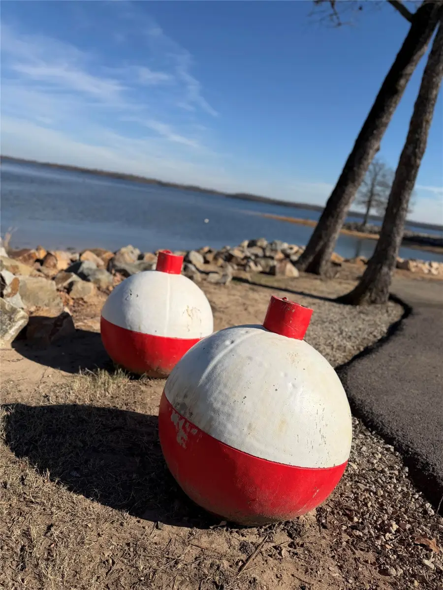 745 County Road 1895, Yantis, TX 75497 - Image #3