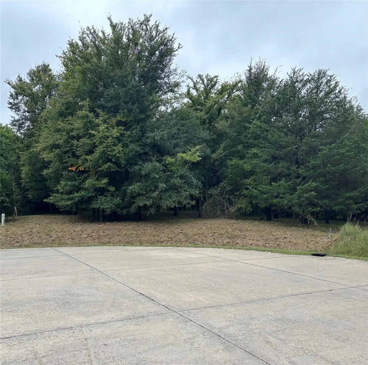 2099 Parkview Drive, Wills Point, TX 75169 - #1