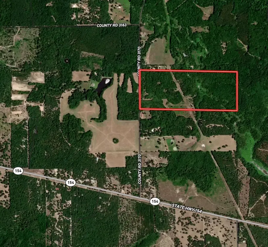 TBD County Road 3170, Quitman, TX 75783 - #2