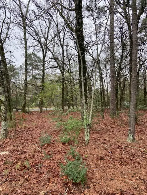 2529 Cr 3540, Hawkins, TX 75765 - #3