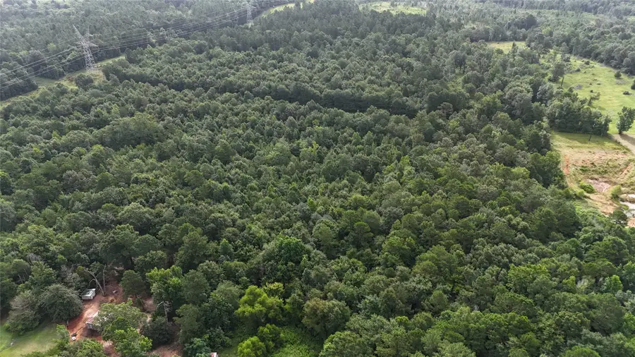 15851 State Highway 135 S, Overton, TX 75684 - Image #2