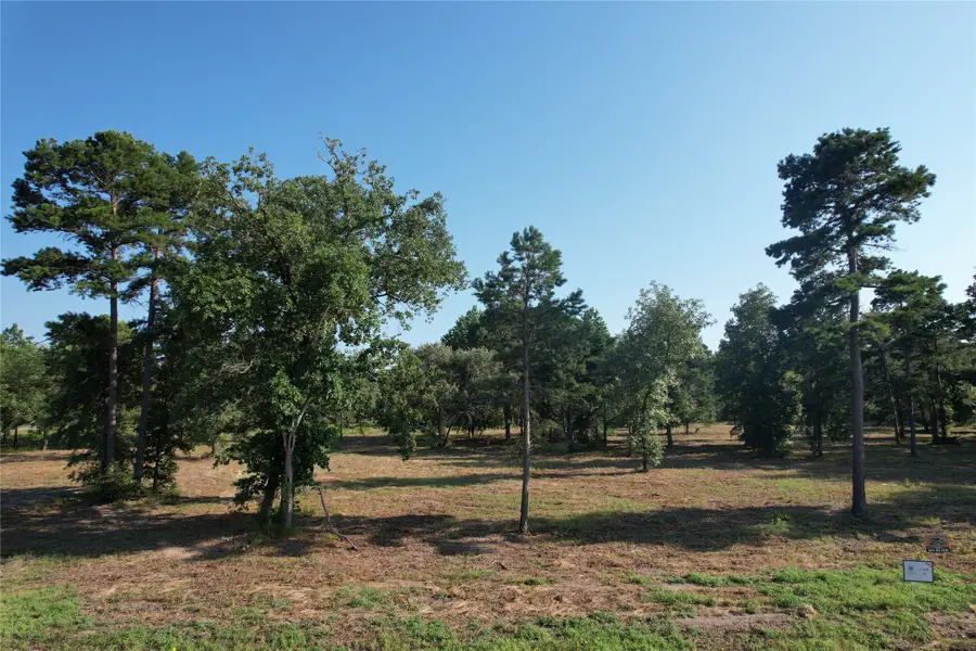 3145 Shadow Pine Drive, Larue, TX 75770 - #2