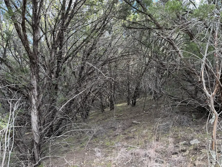 1070 Enchanted Rock Court, Graford, TX 76449 - #3