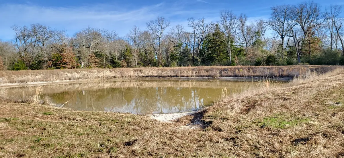 1191 County Road 2420, Pickton, TX 75471 - #1