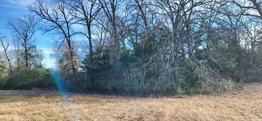 1191 County Road 2420, Pickton, TX 75471 - #2